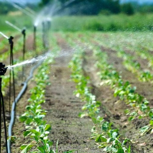 irrigation and drainage services in Turkey. https://scagriconsult.com