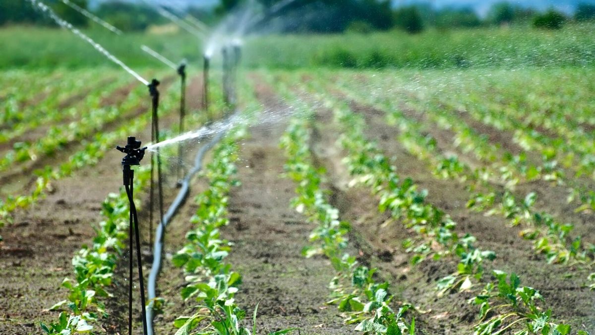 irrigation and drainage services in Turkey. https://scagriconsult.com