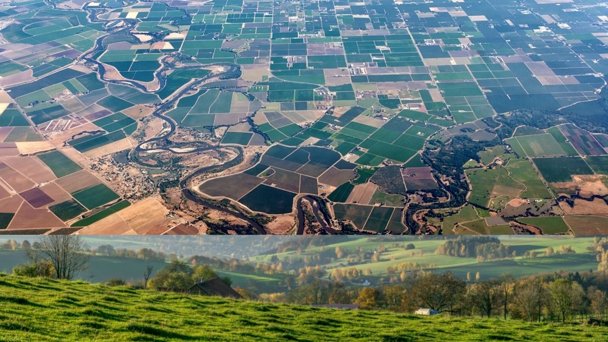 Agriculture consulting - Best regions to buy farmland in Turkey https://scagriconsult.com
